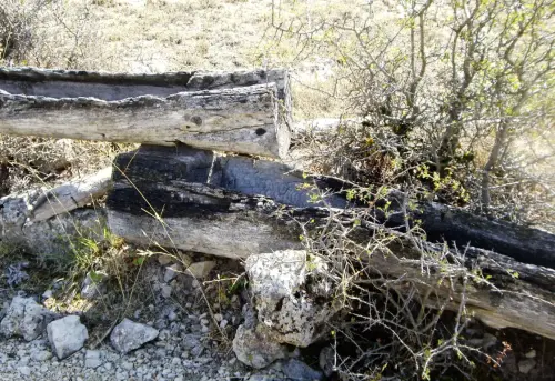 Tornajos-Las-Cobatillas-Calar-del-Mundo5