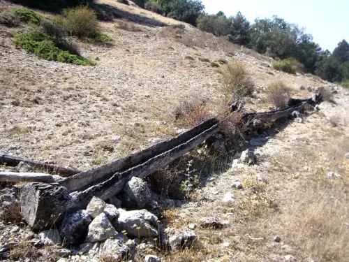 Tornajos-Las-Cobatillas-Calar-del-Mundo8