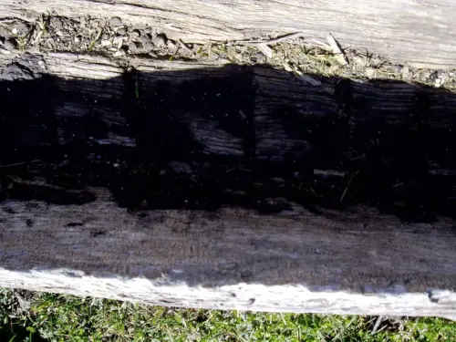 Tornajos-Por-Nerpio3