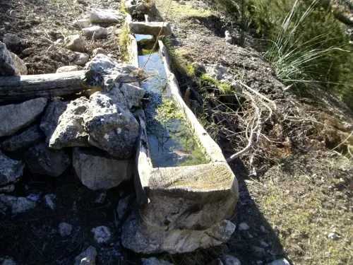 Tornajos-Sierra-de-Gontar-Yeste3