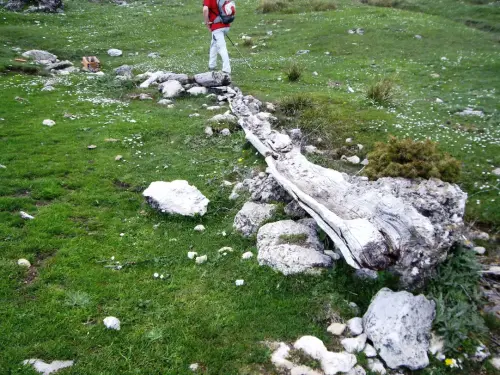 Tornajos-Yegueros-de-Abajo-Tus-Yeste3