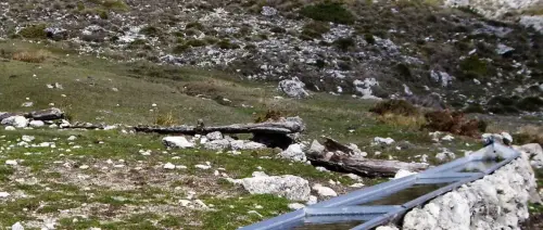 Tornajos-Yegueros-de-Arriba-Tus-Yeste