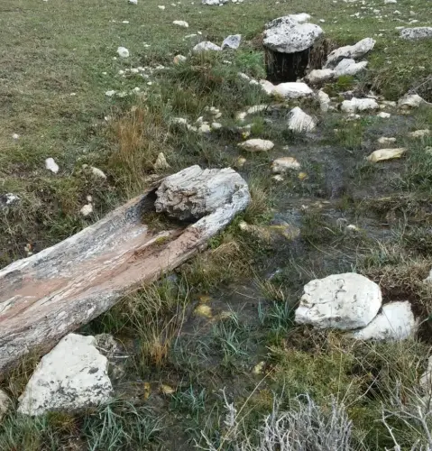 Tornajos-Yegueros-de-Arriba-Tus-Yeste3