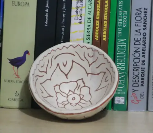 Trabajos-plasticos00035