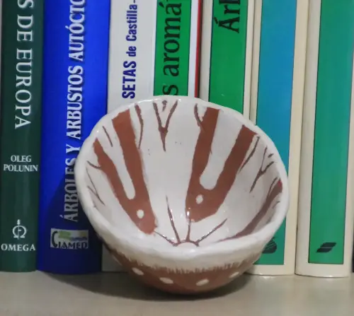 Trabajos-plasticos00036