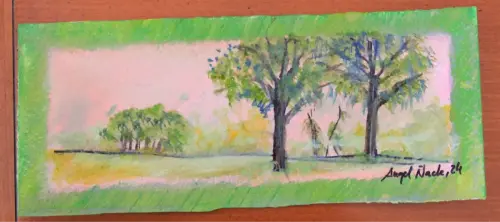 Trabajos-plasticos00065