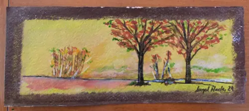 Trabajos-plasticos00067