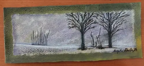 Trabajos-plasticos00068