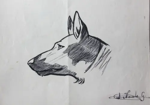 Trabajos-plasticos00165