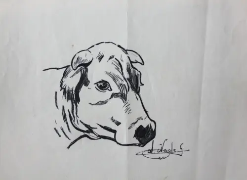 Trabajos-plasticos00166