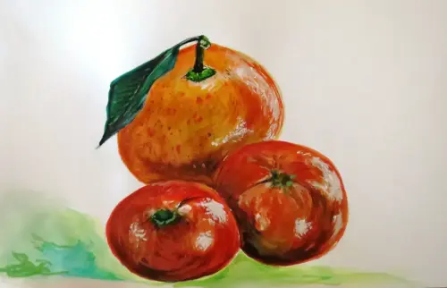 Trabajos-plasticos00170