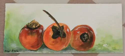 Trabajos-plasticos00173