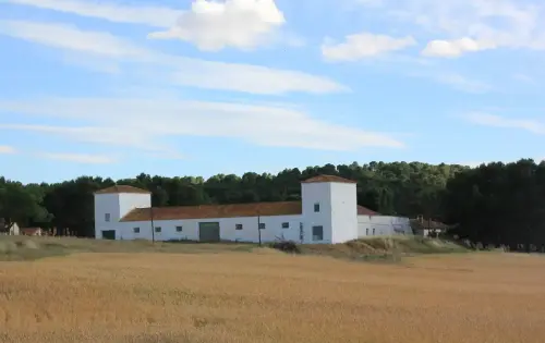 Edificacion-rural-Casa-Gualda-Chinchilla