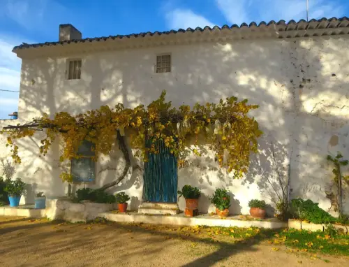 Edificacion-rural-Casas-del-Rio-Hellin