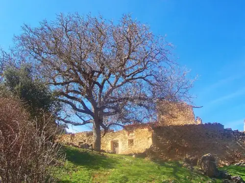 Edificacion-rural-La-Fuensomera-Paterna-del-Madera
