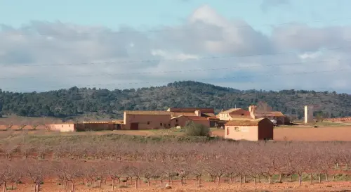 Edificacion-rural-La-Garganta-Hellin