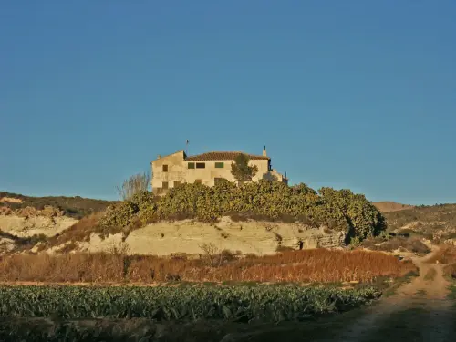 Edificacion-rural-Las-Minas-Hellin