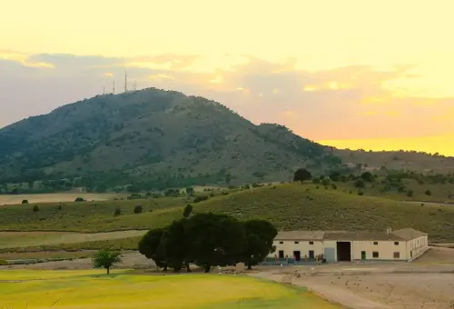 Edificacion-rural-Pinos-Altos-Hellin