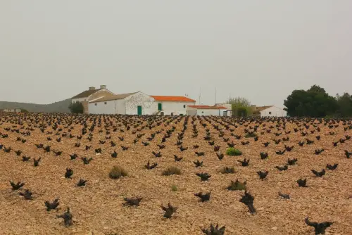Edificacion-rural-Por-Tobarra