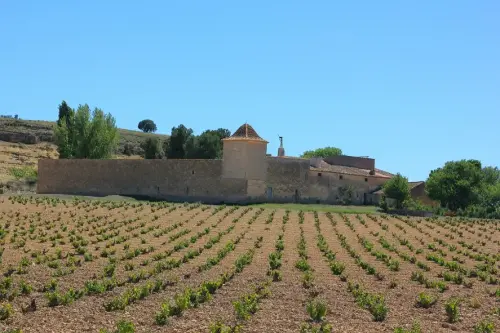 Edificacion-rural-Santa-RosaAlmansa