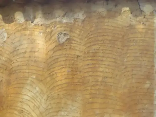 Elem.const .005-Tapial-fratasado-enfoscado-de-cal2