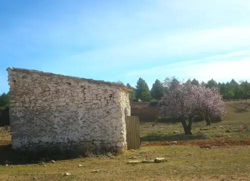 Elem.const .008-Mamposteria6