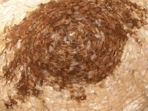 Elem.const .009-Piedra-seca-chozo5