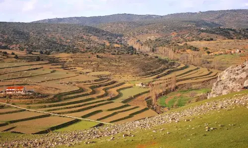 Elem.const .009-Piedra-seca-horma10