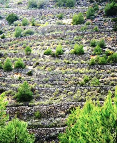 Elem.const .009-Piedra-seca-horma13