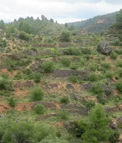 Elem.const .009-Piedra-seca-horma14