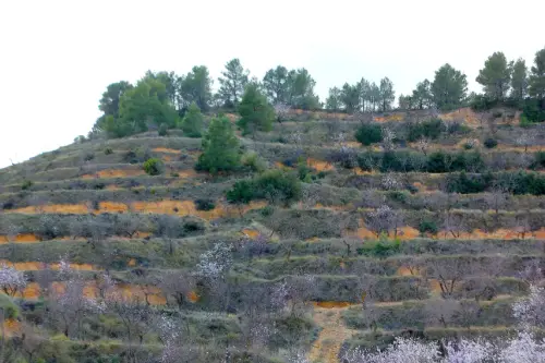 Elem.const .009-Piedra-seca-horma9