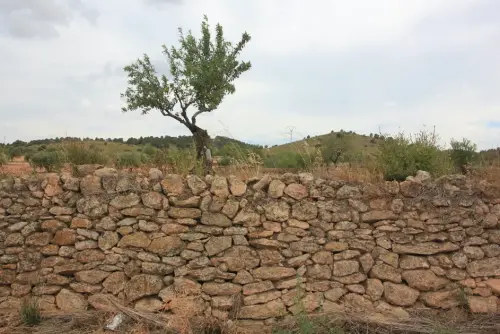 Elem.const .009-Piedra-seca-muro10