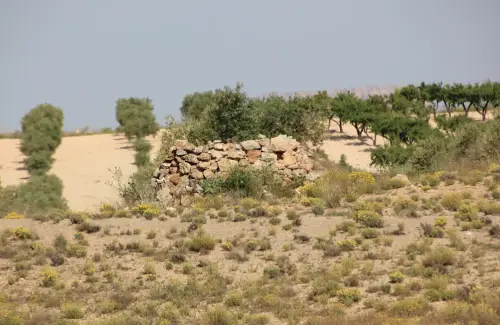 Elem.const .009-Piedra-seca-puesto-cazador7
