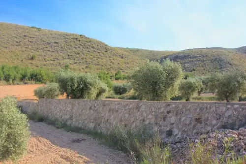 Elem.const .009-Rastrilloparada