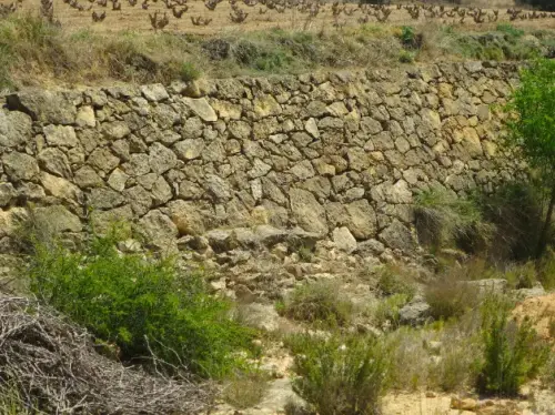 Elem.const .009-Rastrilloparada11