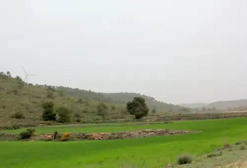 Elem.const .009-Rastrilloparada12