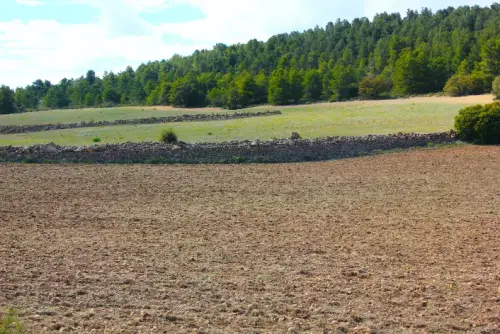 Elem.const .009-Rastrilloparada15