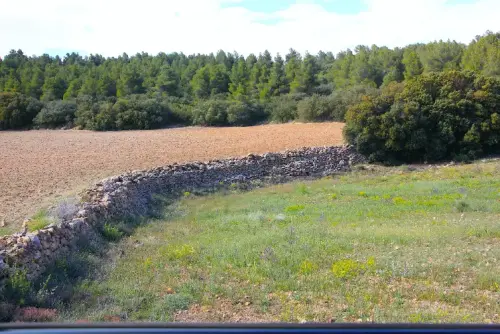 Elem.const .009-Rastrilloparada16