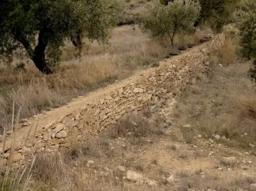 Elem.const .009-Rastrilloparada2