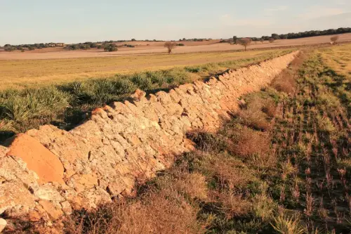 Elem.const .009-Rastrilloparada3