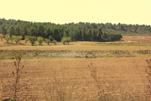 Elem.const .009-Rastrilloparada5