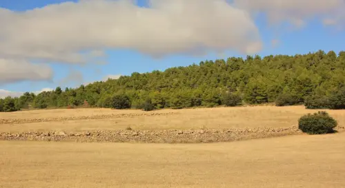 Elem.const .009-Rastrilloparada6