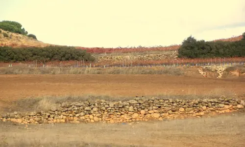 Elem.const .009-Rastrilloparada7