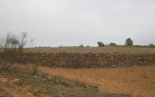 Elem.const .009-Rastrilloparada8