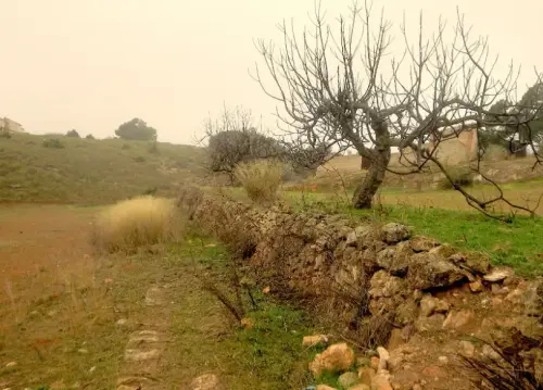 Elem.const .009-piedra-seca-murete6