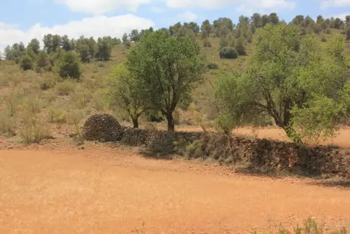 Elem.const .009-piedra-seca-murete8