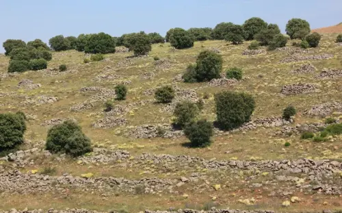 Elem.const .009-piedra-seca-muretes-cercado
