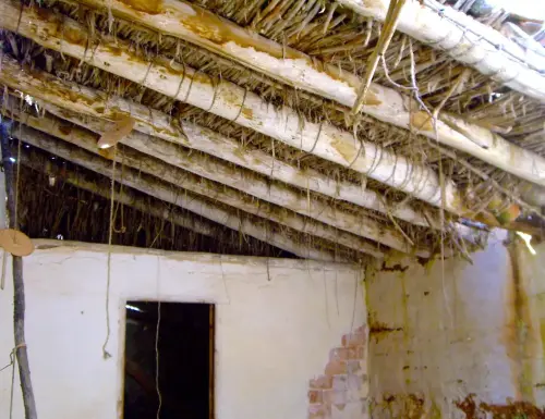 Elem.const .010-Techumbre-paloscanizo3