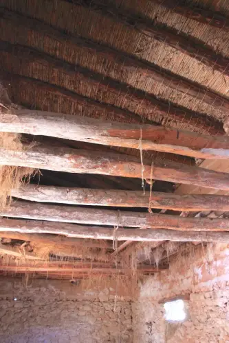 Elem.const .010-Techumbre-paloscanizo5