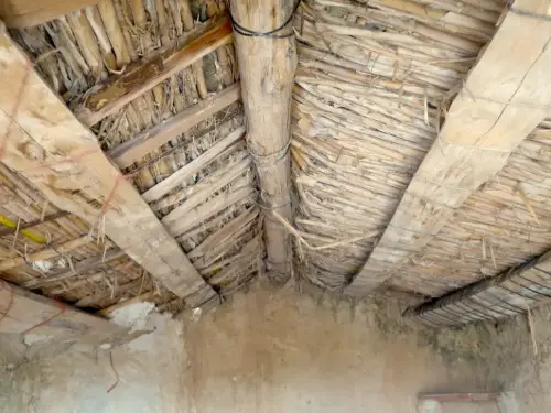 Elem.const .010-Techumbre-paloscanizo8